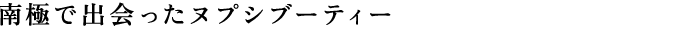 南極で出会ったヌプシブーティー