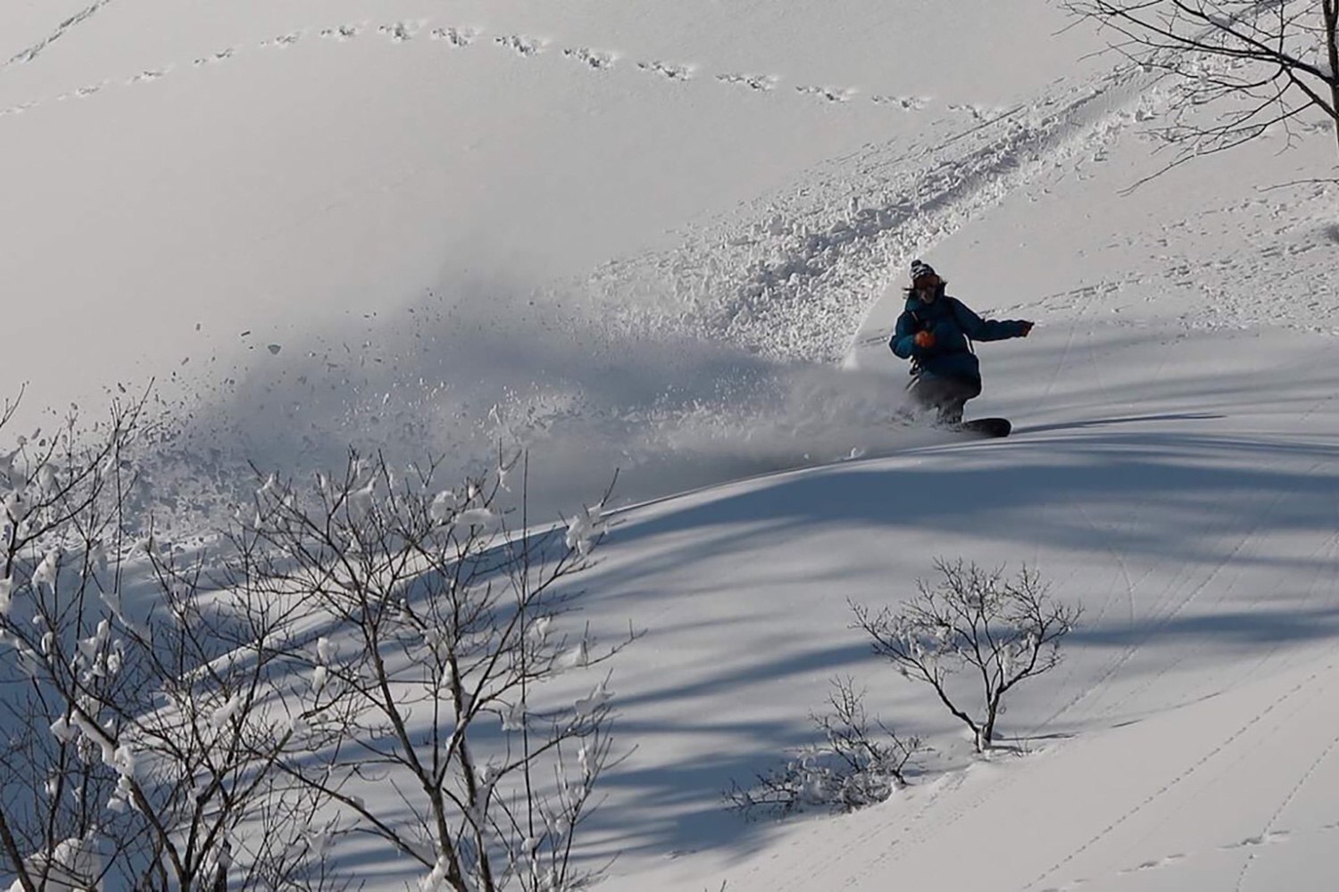 渡辺 尚幸プロフィール トゥーフォーワン 241 Twoforone オフィシャルサイト 渡辺 尚幸プロフィール トゥーフォーワン 241 Twoforone オフィシャルサイト