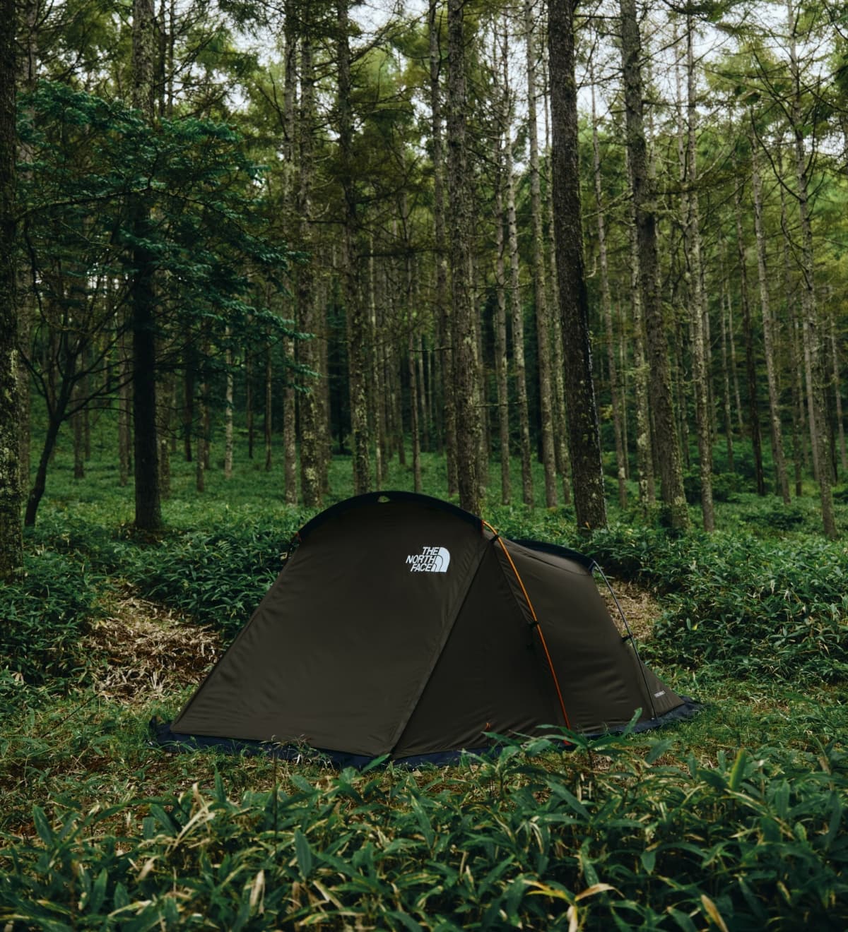 Evacargo 2（エバカーゴ2）