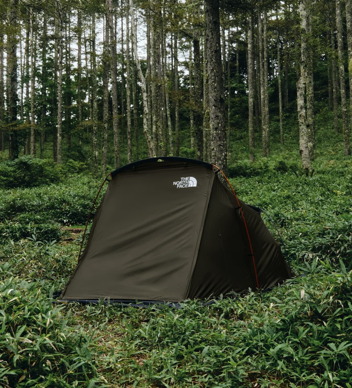 Evacargo 4（エバカーゴ4）