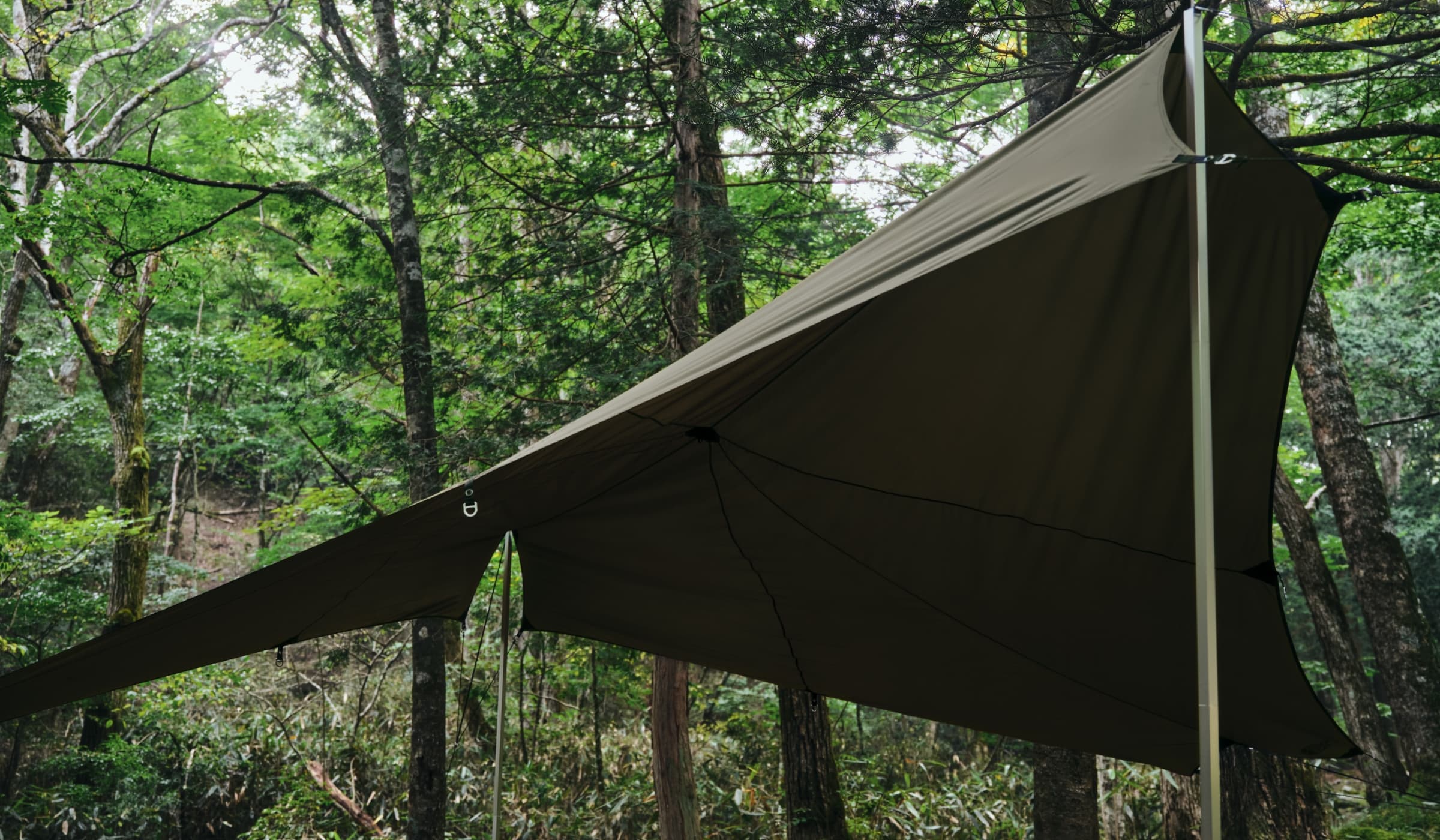 Nebula Tarp 6 | Online Camp Store | THE NORTH FACE CAMP