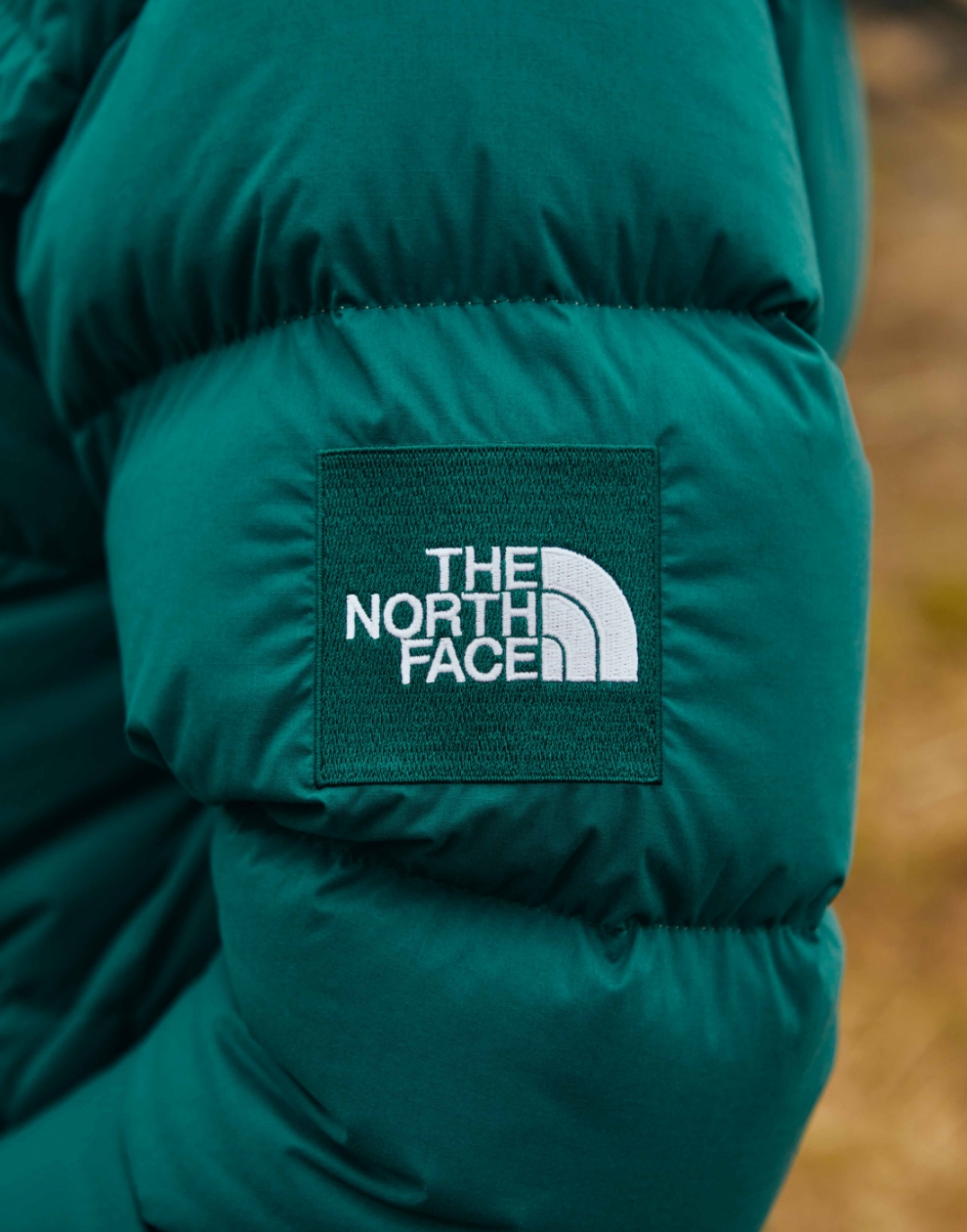Camp Sierra Short | Online Camp Store | THE NORTH FACE CAMP