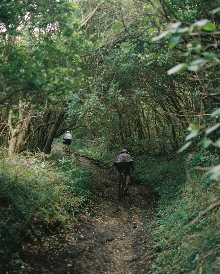 地球とは思えない大地を<br />
駆け回る