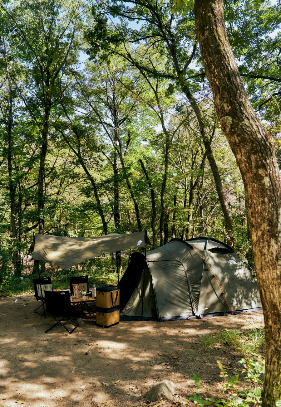 Tent & Tarp THE NORTH FACE CAMP ノースフェイステント