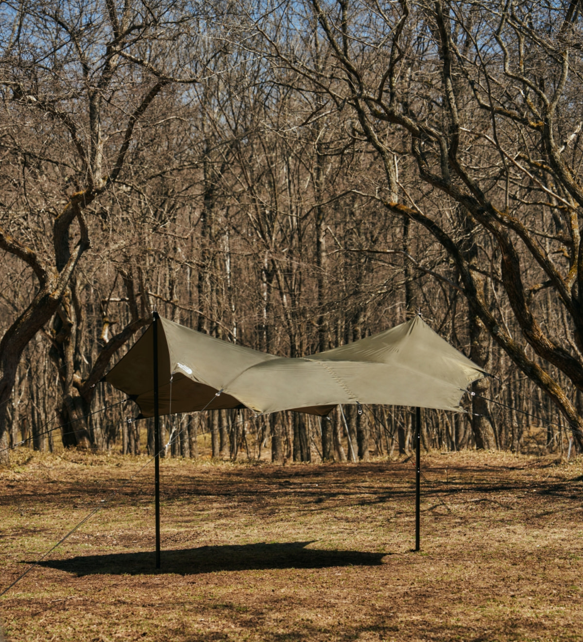 Nebula Tarp 2（ネブラタープ2）