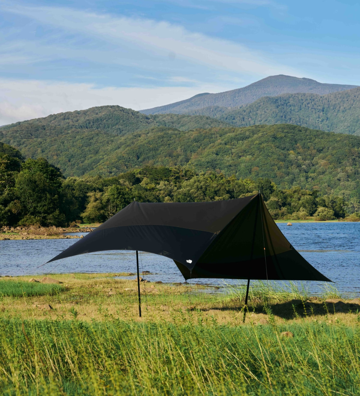 PLERION 6（プレリオン6）