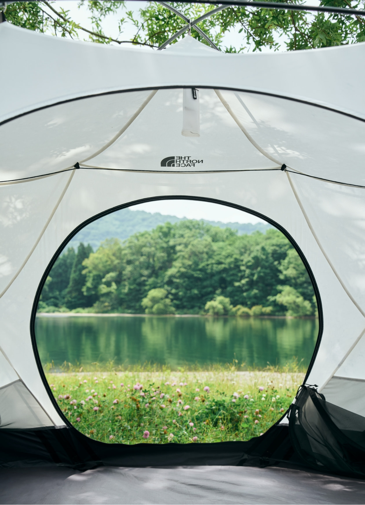 稀少⭐︎ The North Face - Oval Intention Oval InTENTion | Online Camp Store | THE NORTH FACE CAMP