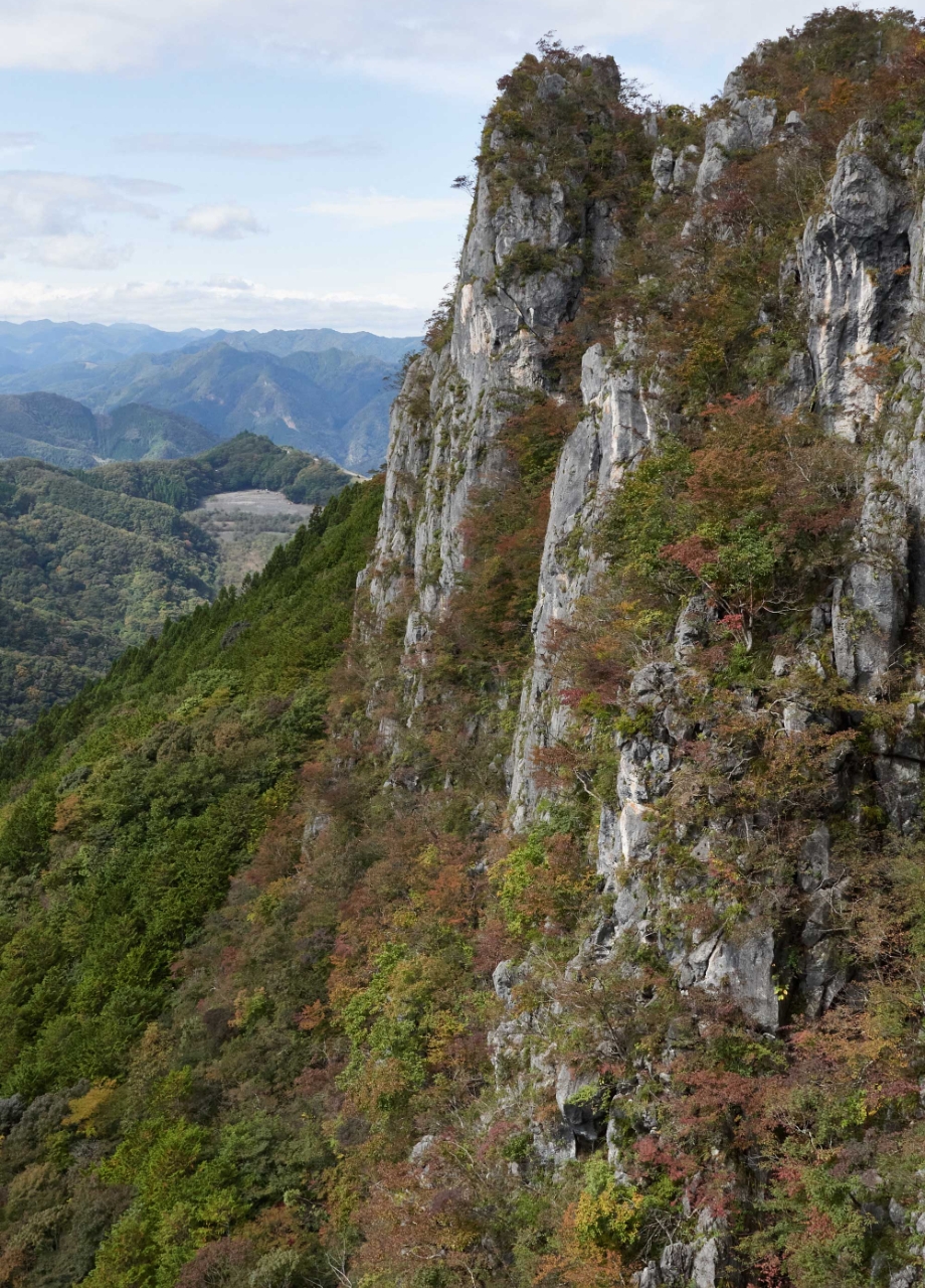 二子山西岳再生プロジェクトの中心となった、ろうそく岩。